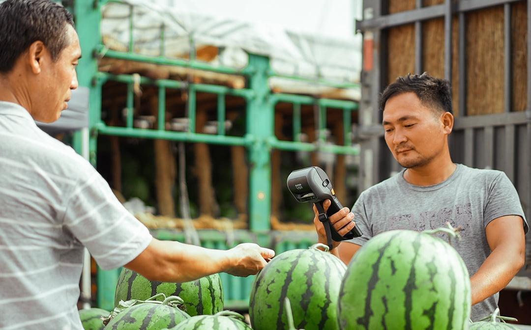 蓝冠注册收银系统