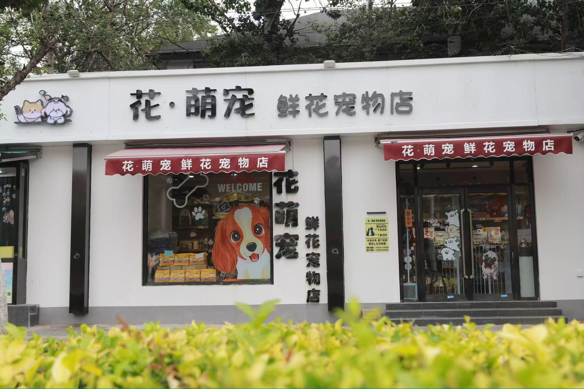 花萌宠鲜花宠物店1