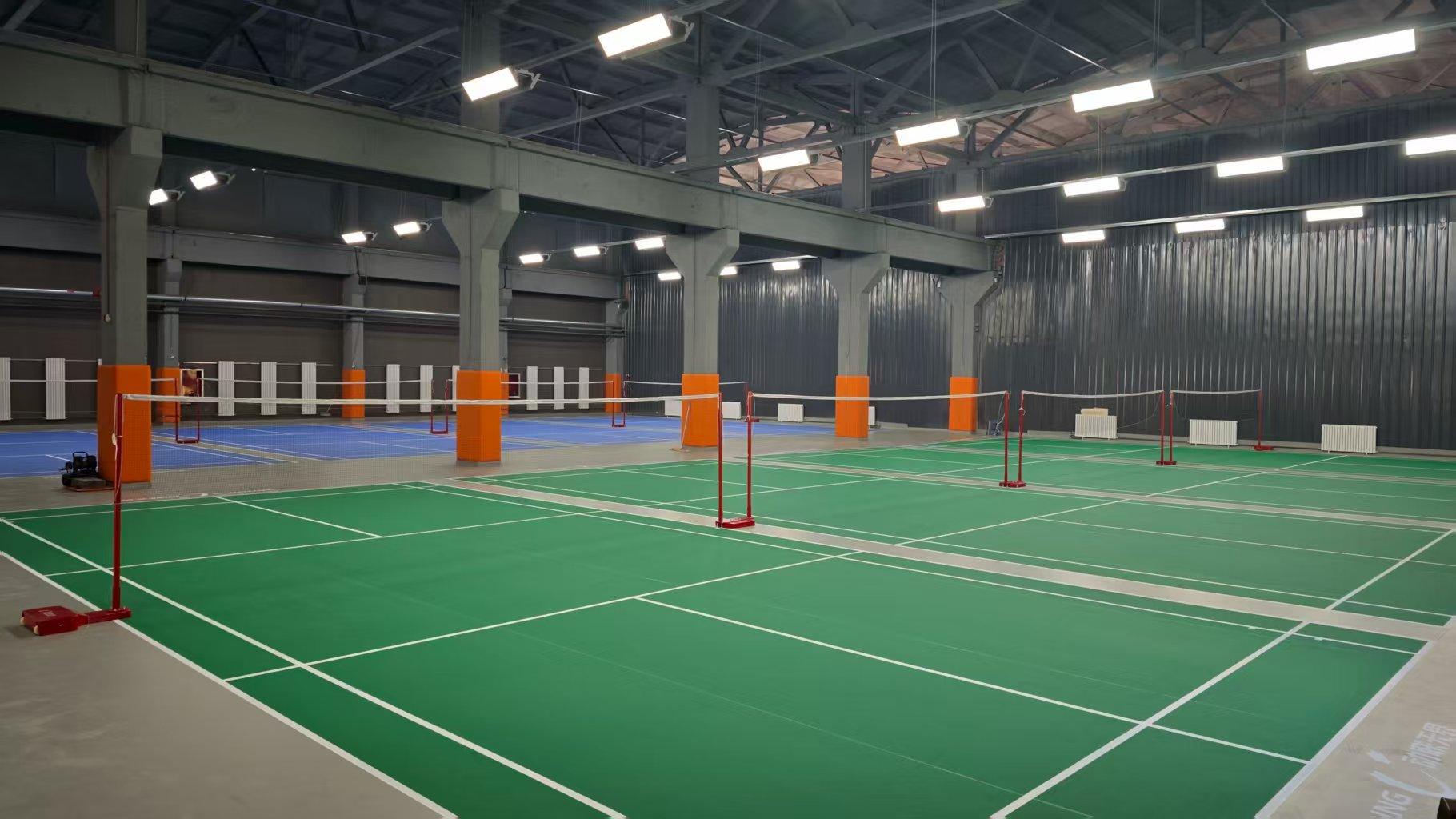 新疆飞羽体育场馆2